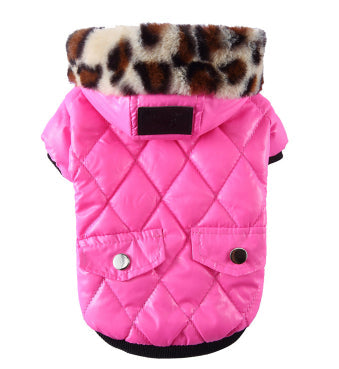 Winter Coat for Your Pup