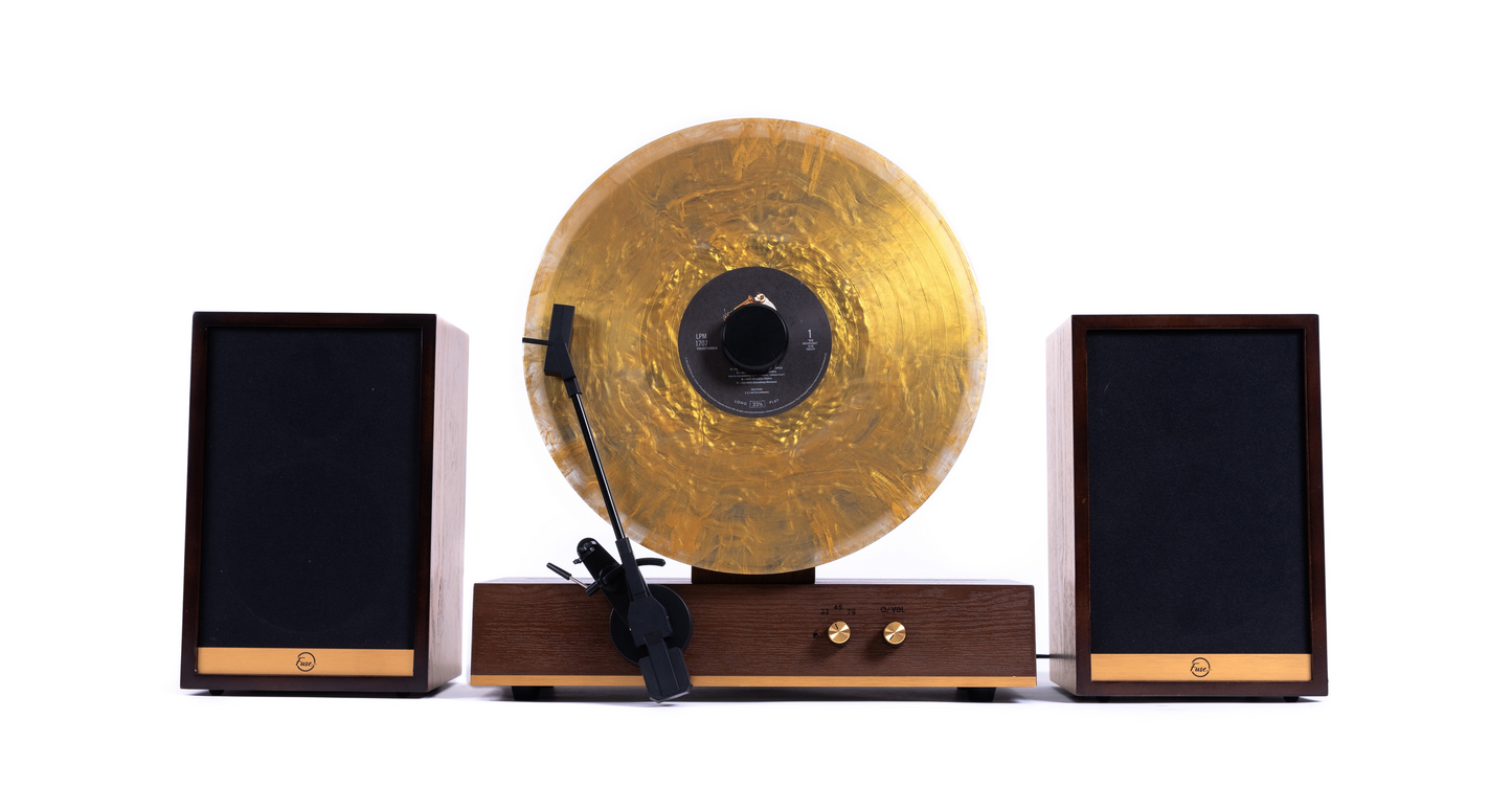 Vertical Vinyl Record Player
