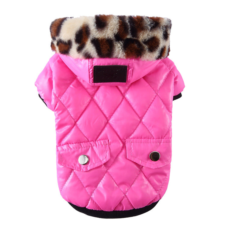 Winter Coat for Your Pup