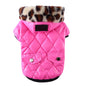 Winter Coat for Your Pup