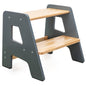 2-Step Stool for Toddlers