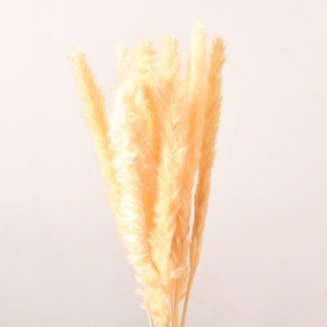 10PCS Artificial Pampas Grass