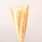 10PCS Artificial Pampas Grass