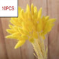 10PCS Artificial Pampas Grass