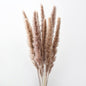 10PCS Artificial Pampas Grass