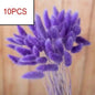 10PCS Artificial Pampas Grass