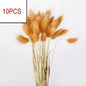 10PCS Artificial Pampas Grass