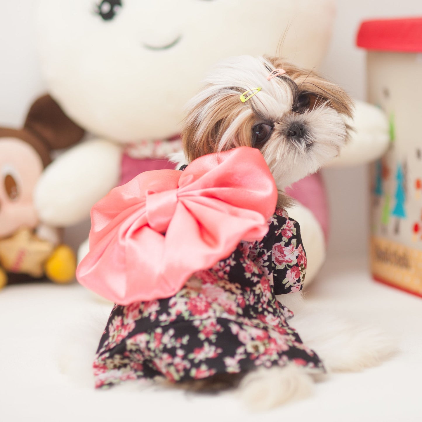 Canine Kimono for Spring or Summer