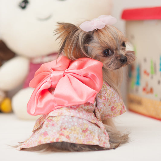 Canine Kimono for Spring or Summer