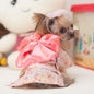 Canine Kimono for Spring or Summer