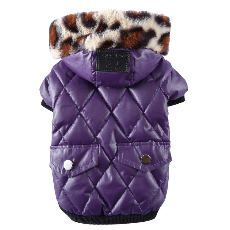 Winter Coat for Your Pup