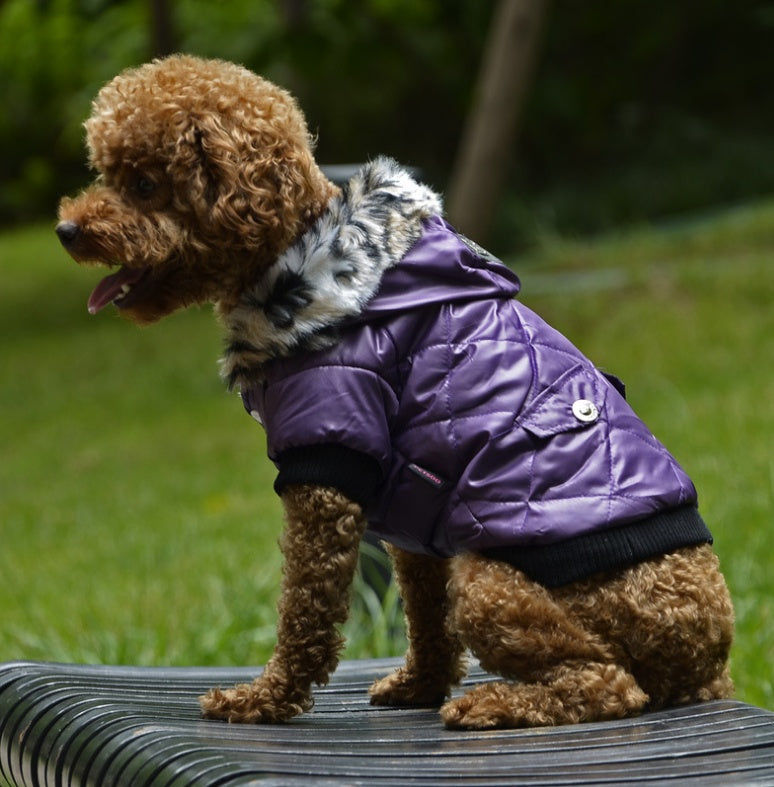Winter Coat for Your Pup