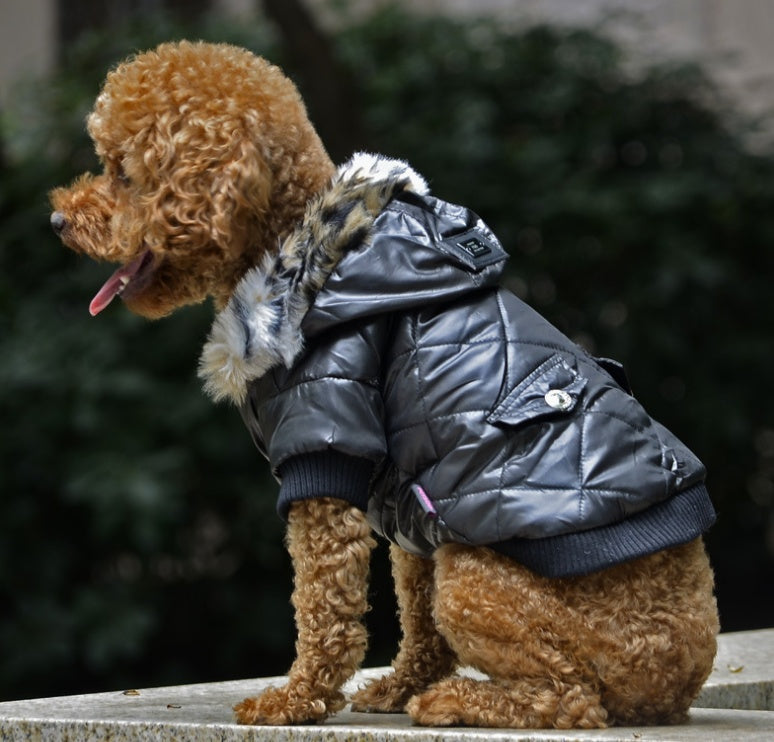 Winter Coat for Your Pup