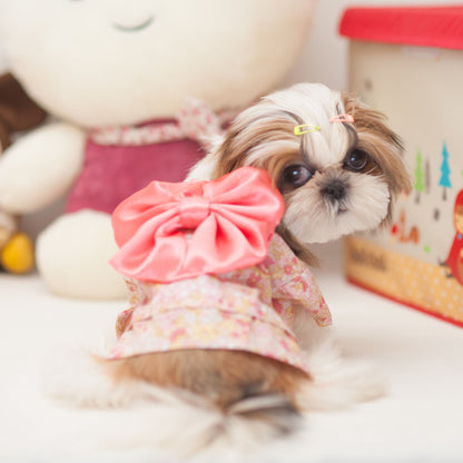 Canine Kimono for Spring or Summer