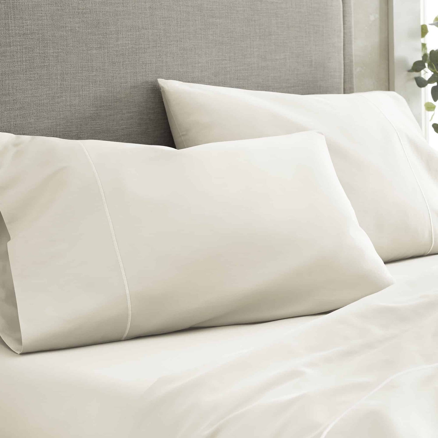 500 Thread Count Sateen Bed Sheets