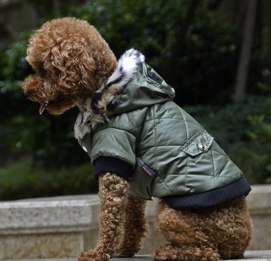Winter Coat for Your Pup