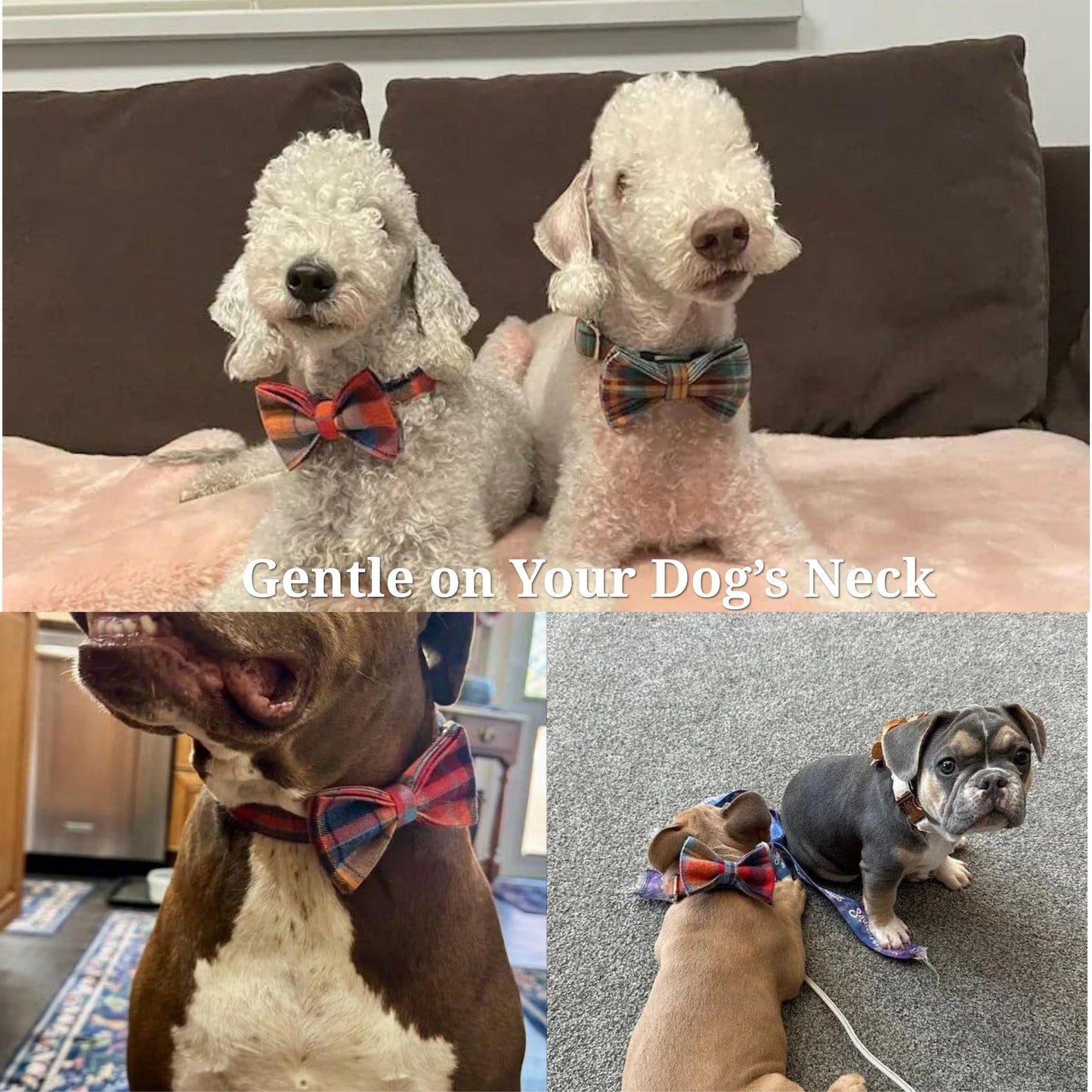 Midnight Copper Plaid Dog Harness Set