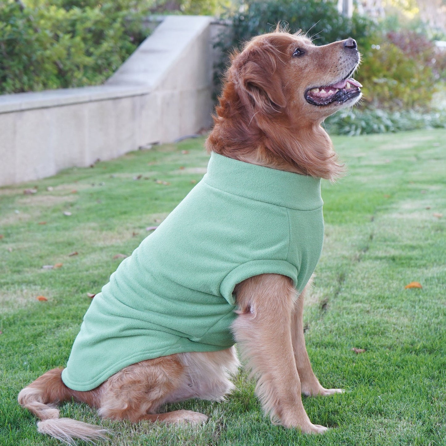 Polar Fleece for Dogs