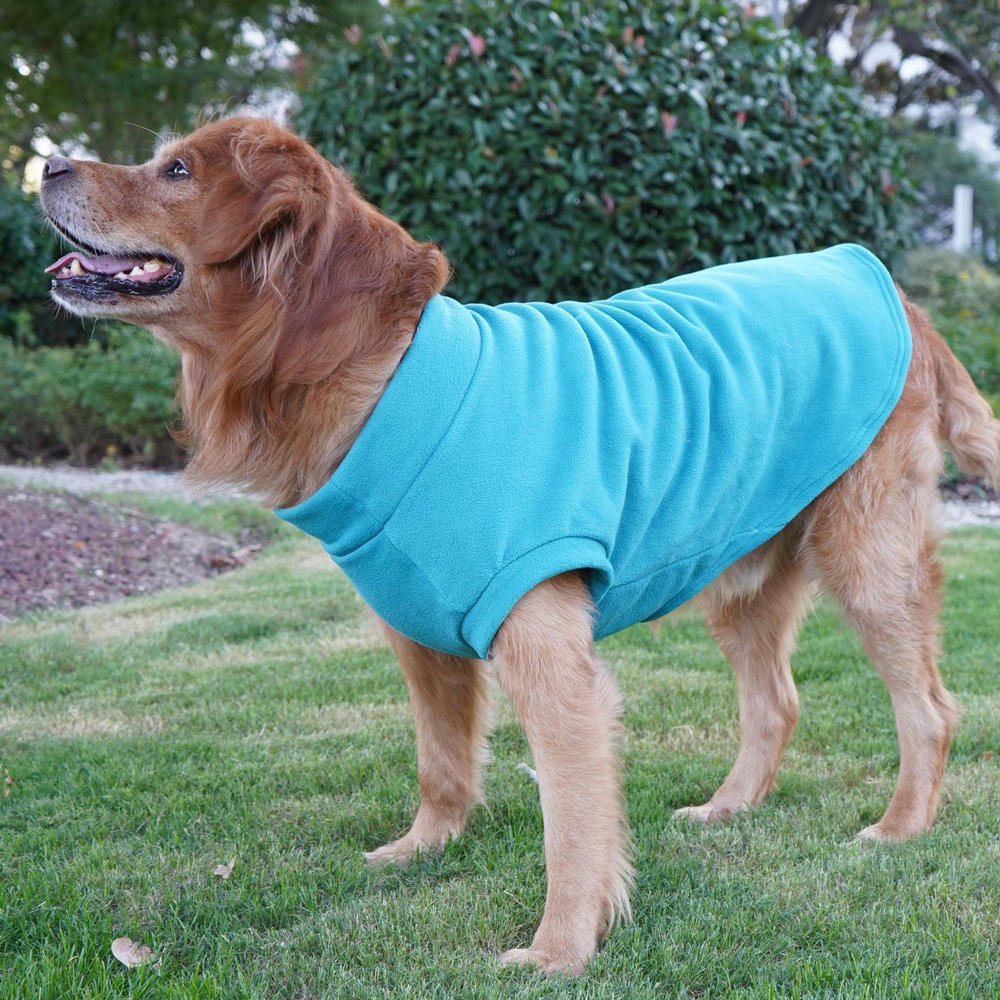 Polar Fleece for Dogs