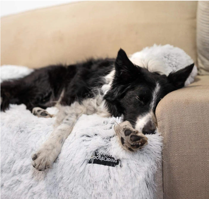 Soft Washable Blanket to Protect Bed/Sofa/Car from Pet Fur
