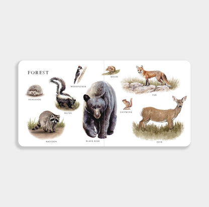Our Big Book of Animals