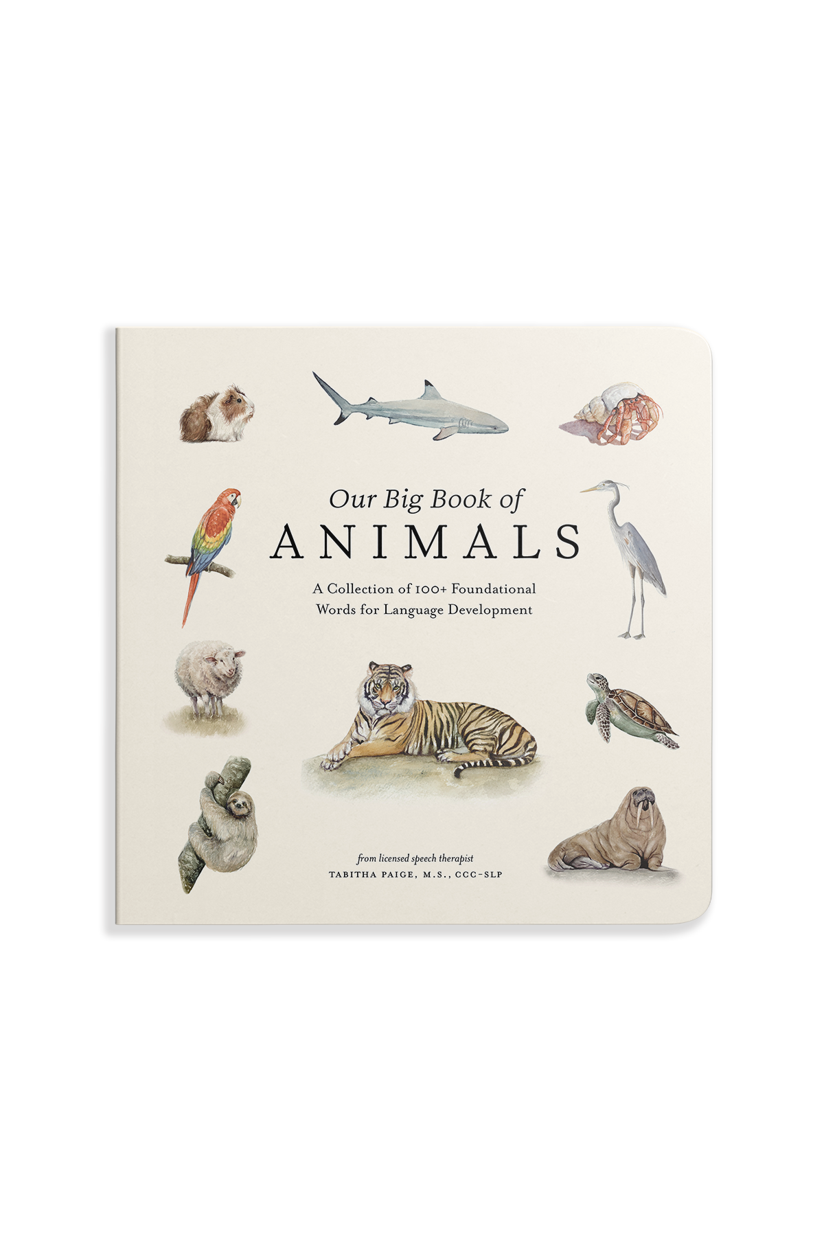 Our Big Book of Animals