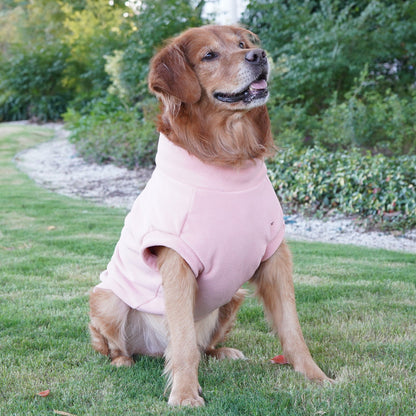 Polar Fleece for Dogs
