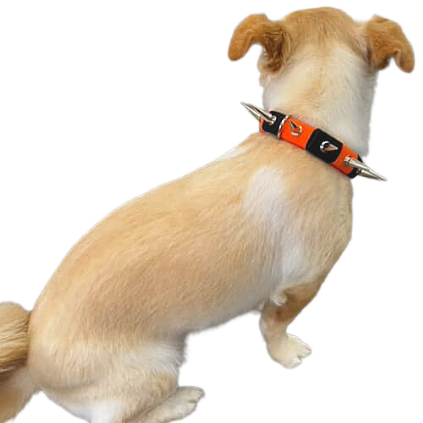 CoyoteCollar - Protect Your Pup!
