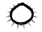 CoyoteCollar - Protect Your Pup!