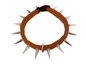CoyoteCollar - Protect Your Pup!