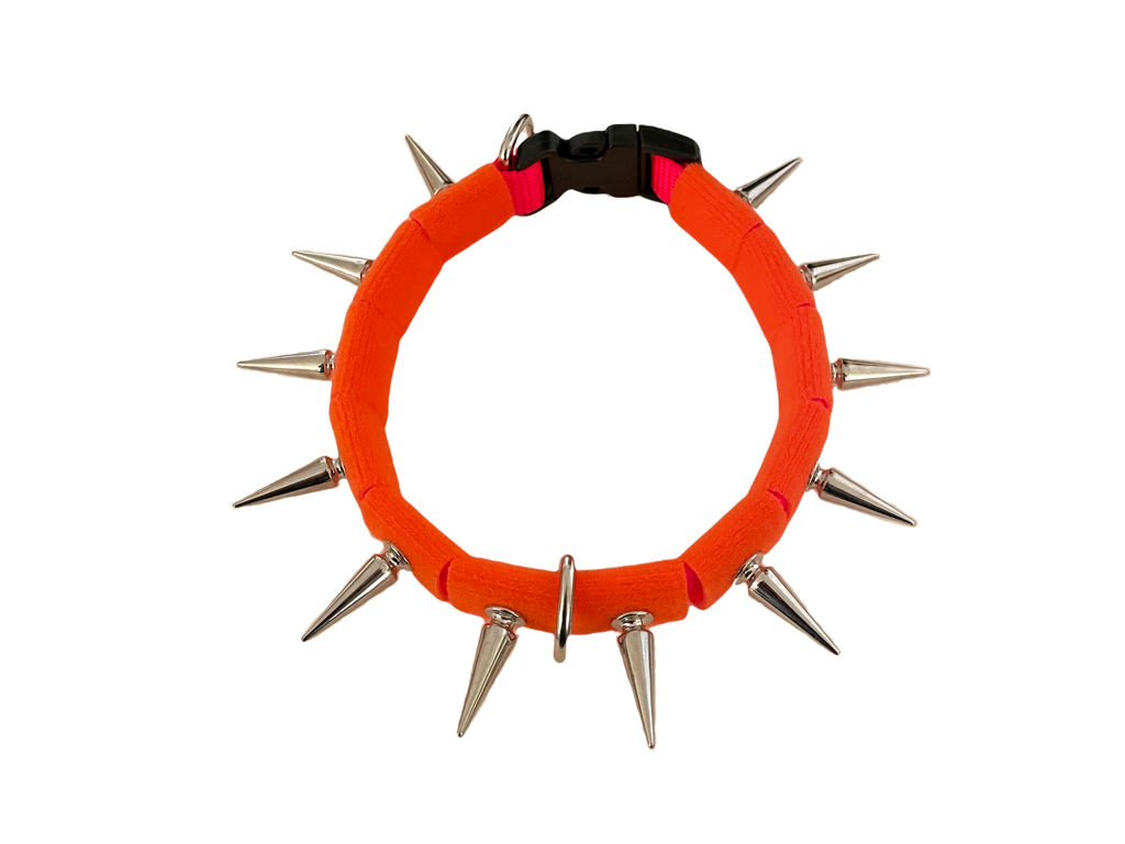 CoyoteCollar - Protect Your Pup!