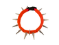 CoyoteCollar - Protect Your Pup!