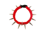 CoyoteCollar - Protect Your Pup!