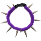 CoyoteCollar - Protect Your Pup!