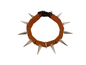 CoyoteCollar - Protect Your Pup!