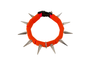 CoyoteCollar - Protect Your Pup!