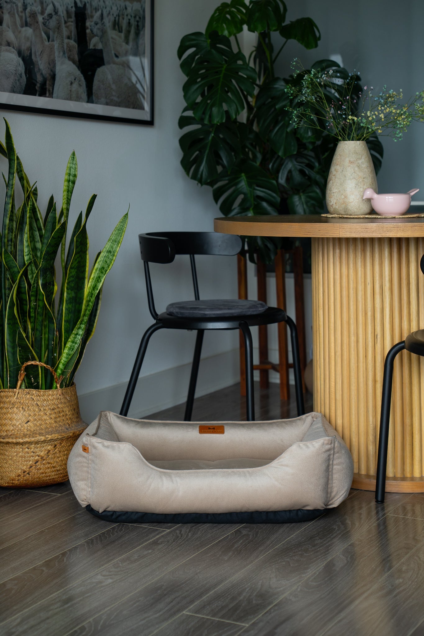 Velvet Sleeper Dog Bed