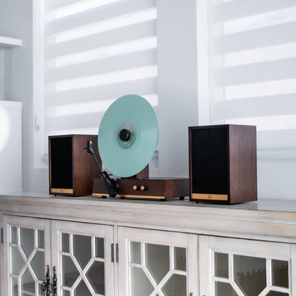 Vertical Vinyl Record Player