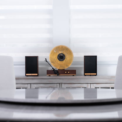 Vertical Vinyl Record Player