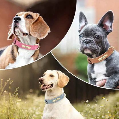 Personalized Leather Dog Collar with Custom Engraved ID Tag