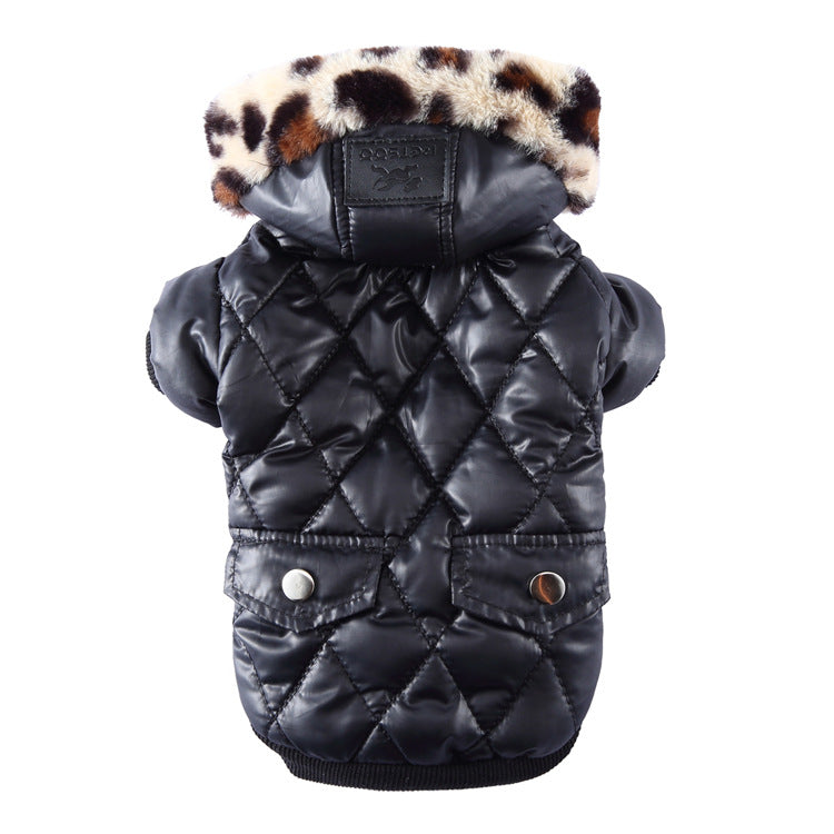 Winter Coat for Your Pup