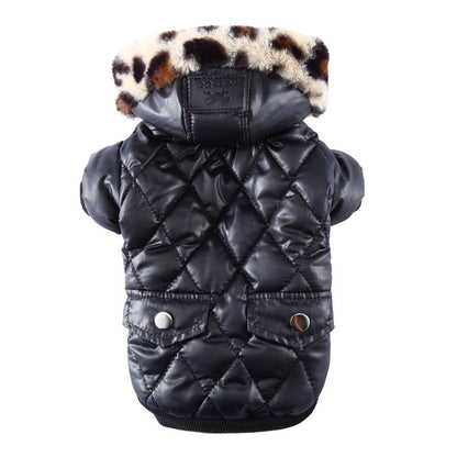 Winter Coat for Your Pup