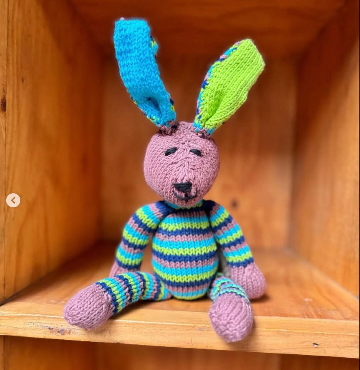 Pippen the Rabbit