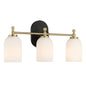 Three Lights Vanity Brush Bathroom Wall Light For Bathroom Over Mirror