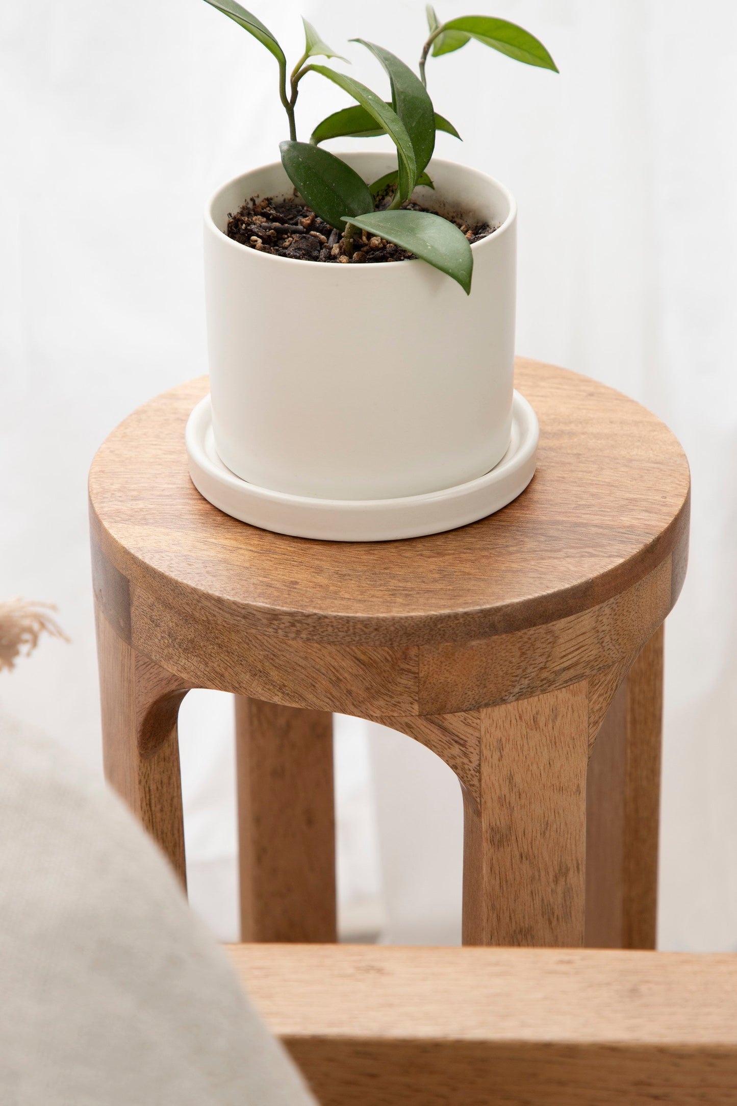 Drink Table