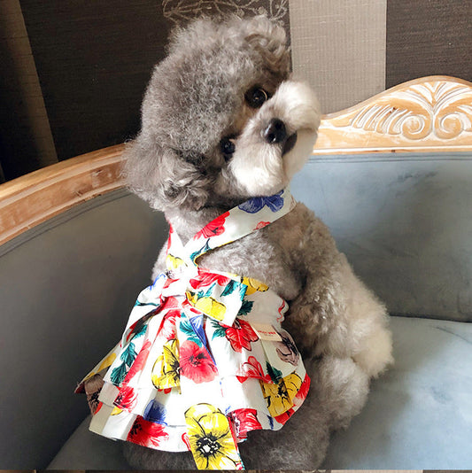 Print Dress for Cats & Dogs