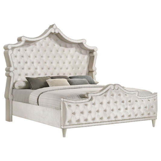 Upholstered Queen Panel Bed Ivory and Camel
