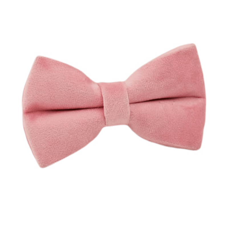 Pink Velvet Dog Harness Set