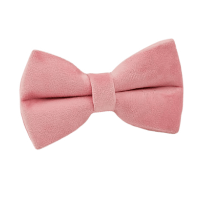 Pink Velvet Dog Harness Set