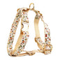 Soft Ivory Blossom Floral Dog Harness Set